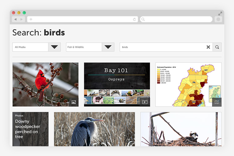 Chesapeake Bay Program multimedia