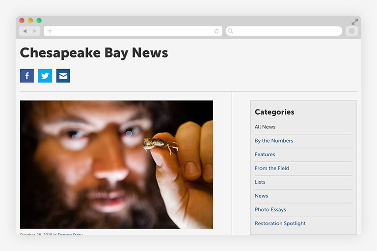 Chesapeake Bay Program news index