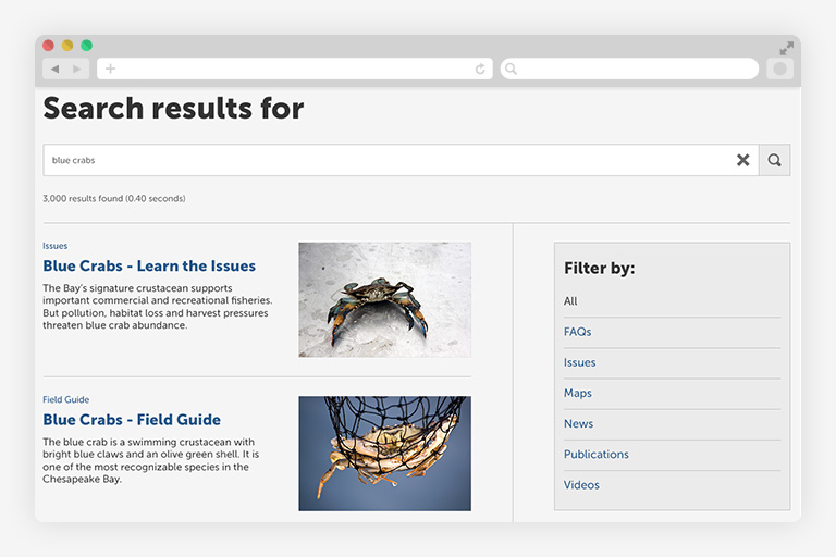 Chesapeake Bay Program search