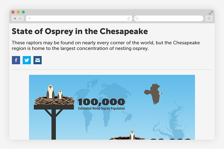 Chesapeake Bay Program state of the chesapeake osprey